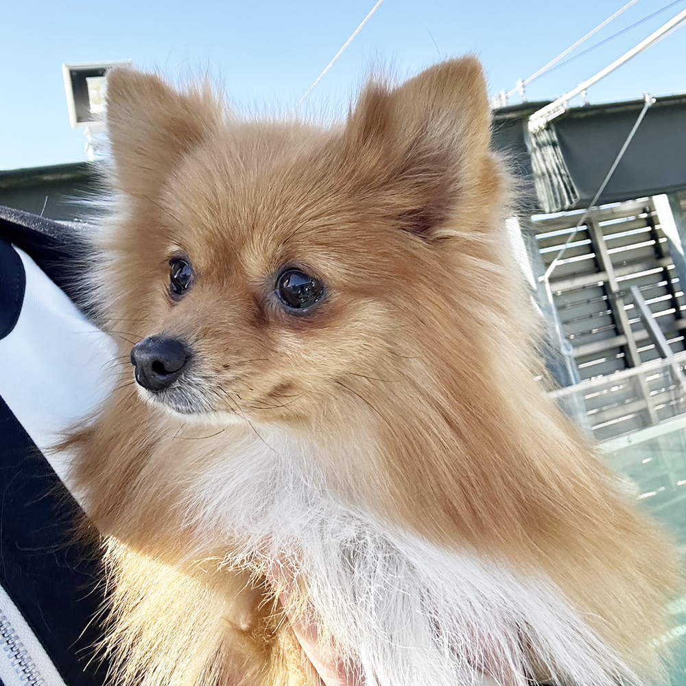 生徒が撮影した写真を送ってくれました②